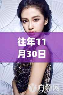 详尽指南,揭秘往年11月30日Angelababy粉丝数量及热门话题供初学与进阶用户参考的全方位探究之路!