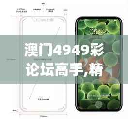 澳门4949彩论坛高手,精细分析解释定义_iPhone48.476-4