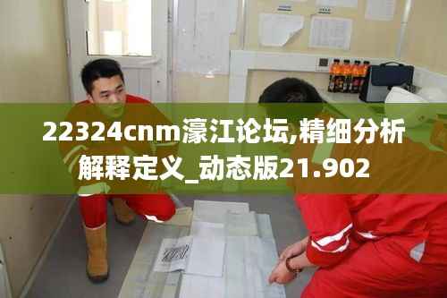 22324cnm濠江论坛,精细分析解释定义_动态版21.902