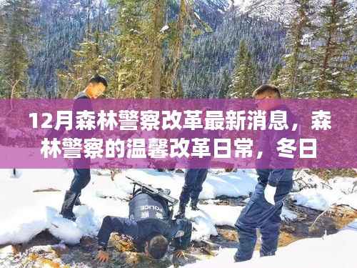 森林警察改革最新动态,冬日守护与成长故事揭秘