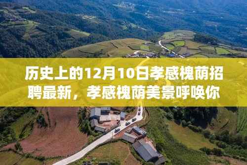 孝感槐荫美景呼唤你,最新招聘启航,探寻心灵之旅的启程日(12月10日)