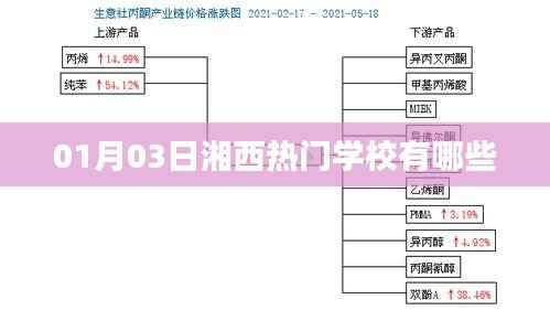 湘西热门学校榜单揭晓,01月03日盘点
