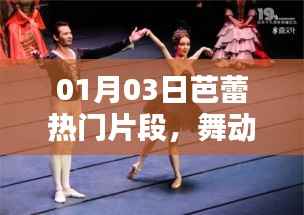 芭蕾瞬间魅力,热门片段舞动艺术风采