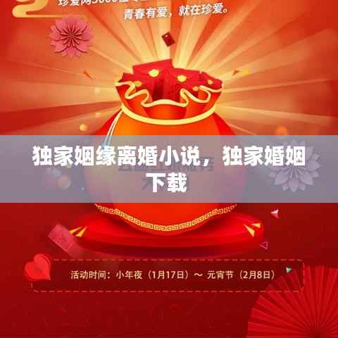 独家姻缘离婚小说,独家婚姻下载