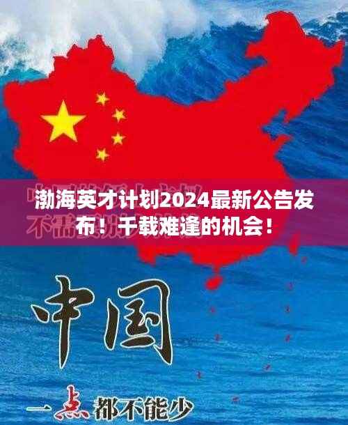 渤海英才计划2024最新公告发布!千载难逢的机会!