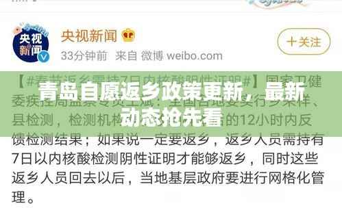 青岛自愿返乡政策更新,最新动态抢先看