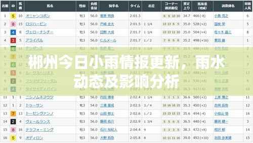 郴州今日小雨情报更新,雨水动态及影响分析