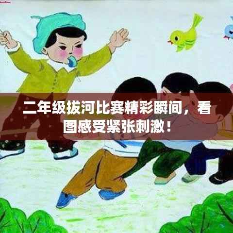 二年级拔河比赛精彩瞬间,看图感受紧张刺激!