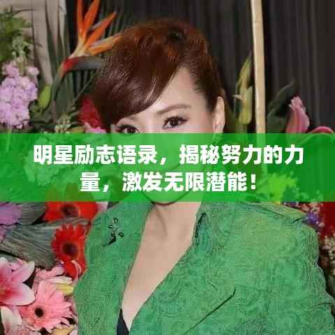 明星励志语录,揭秘努力的力量,激发无限潜能!