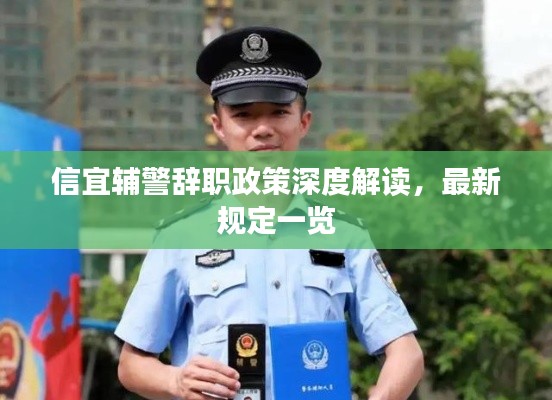 信宜辅警辞职政策深度解读,最新规定一览