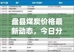盘县煤炭价格最新动态,今日分析与未来展望