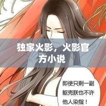 独家火影,火影官方小说