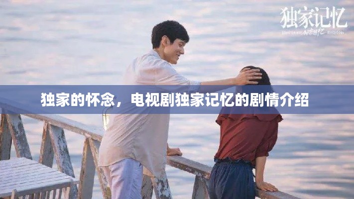 独家的怀念,电视剧独家记忆的剧情介绍