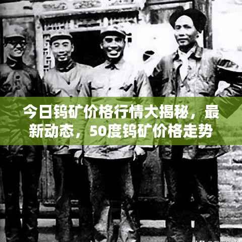 今日钨矿价格行情大揭秘,最新动态,50度钨矿价格走势分析