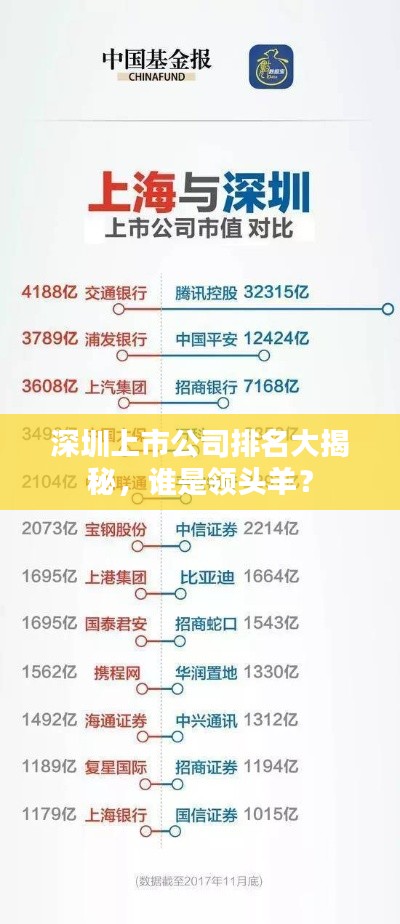 深圳上市公司排名大揭秘,谁是领头羊?